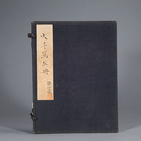 장대천 화첩(张大千 画册)